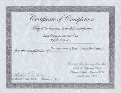 certifications