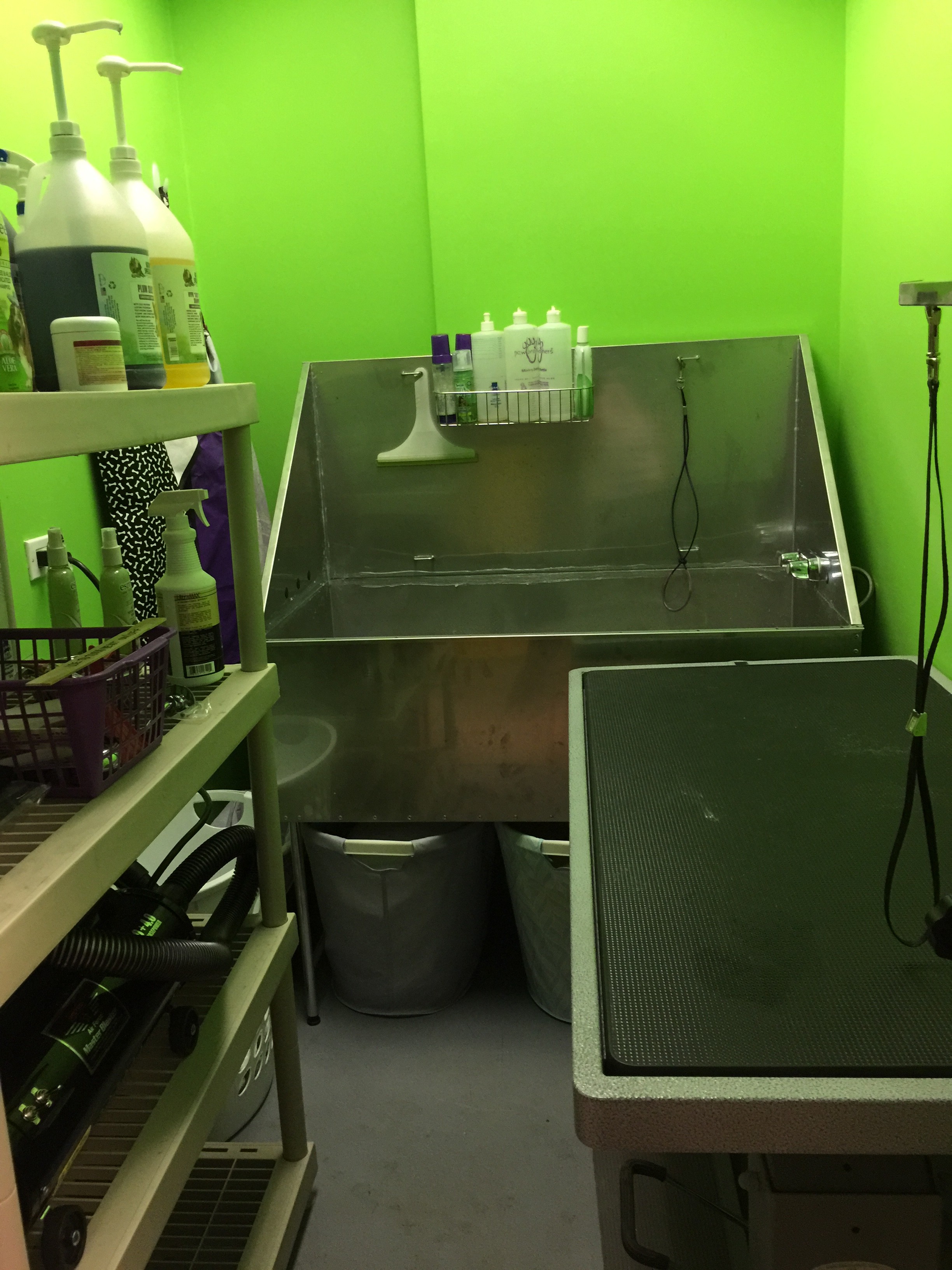 image3 All Star Pet Grooming