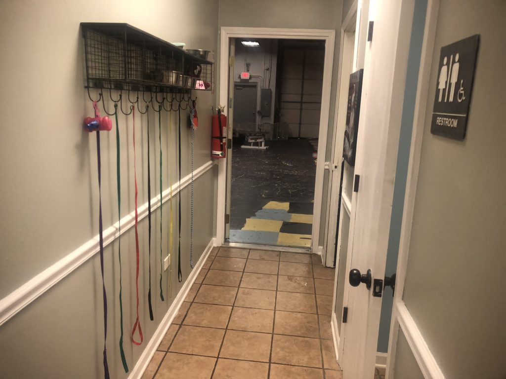 The Salon All Star Pet Grooming