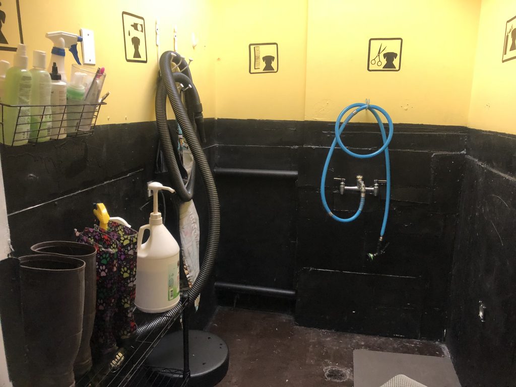 The Salon All Star Pet Grooming