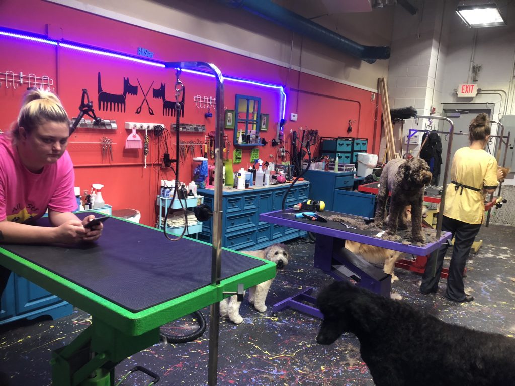 The Salon All Star Pet Grooming