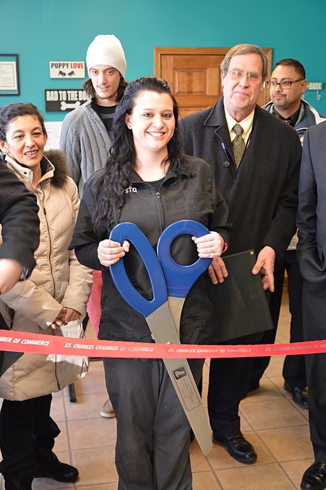 About Us All Star Pet Grooming